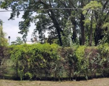 Quinta Haras Myriam 7 lotes 2.343 Mts2