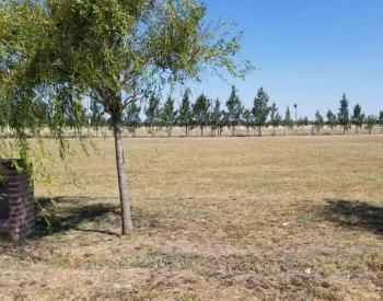 Lote en Haras del Sur III